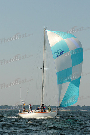 2012 Vineyard Race A 899