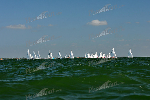 2012 Thistle Midwinters C 050