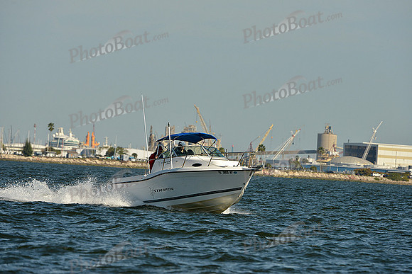 2015 J70 Winter Series E 206
