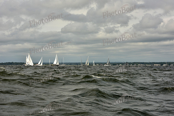 2018 Vineyard Race A_0131