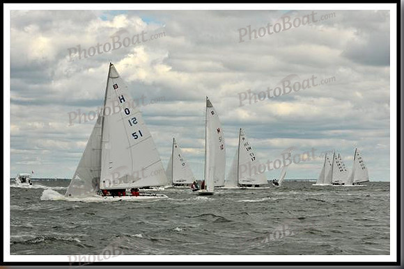 proof_2010_EScows_B 055