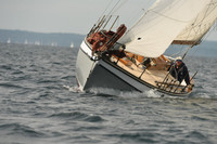 2016 Chester Race Week C_0861