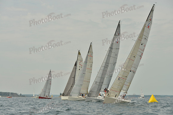 2016 Chester Race Week E_0057