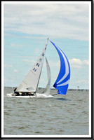 proof_2010_EScows_A 948