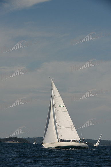 2016 Chester Race Week A_0461