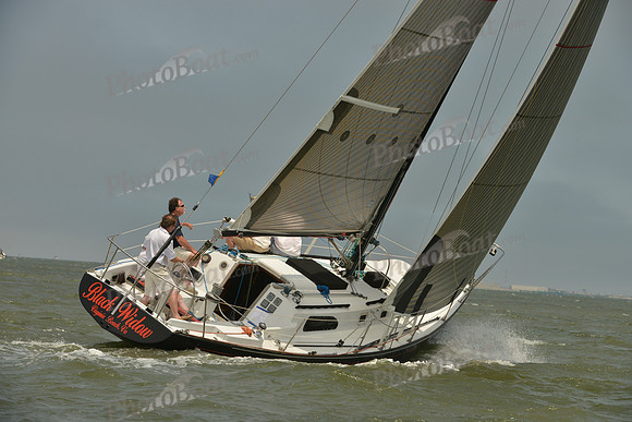 2016 Southern Bay Race Week A_1699