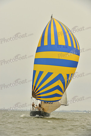 2016 Southern Bay Race Week A_0892