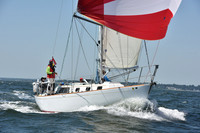2019 Vineyard Race A_1173