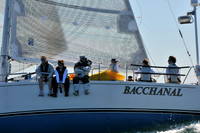 2012 Newport Bermuda 1263