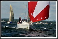 proof_2010_Vineyard_Race_0593