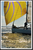 proof_2010_Vineyard_Race_1312