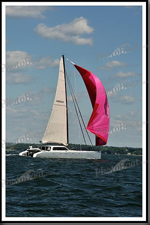 proof_2010_Vineyard_Race_0685