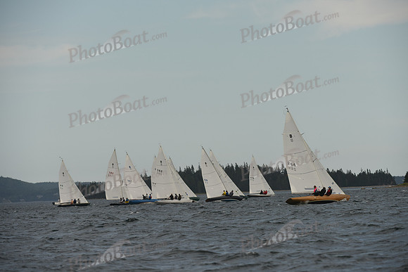 2016 Chester Race Week A_1784