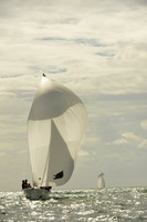 2015 Melges 24 Miami Invitational D 136