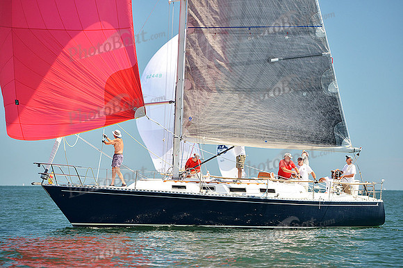 2015 Cape Charles Cup A 799
