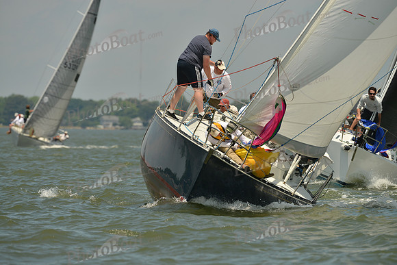 2016 Southern Bay Race Week F_1085