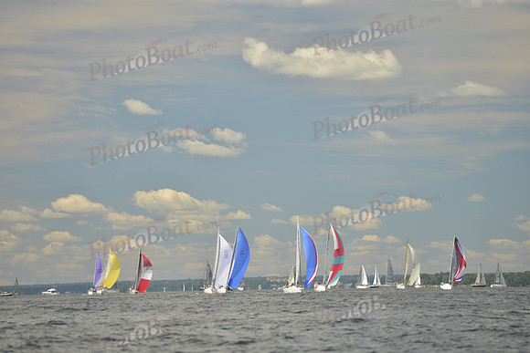 2016 Vineyard Race A_0430