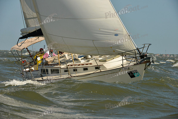 2016 Charleston Race Week C 0256