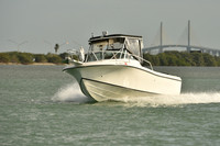 2019 Feb 10 Tampa Bay A_0830