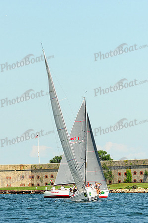 2014 NYYC Race Week C 384