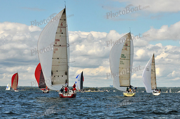2010 IRC LIS 516
