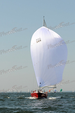 2012 Vineyard Race A 202