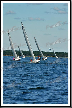 proof_2010_EScows_D 033