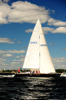 2014 Vineyard Race A 173
