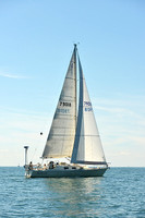 2015 Cape Charles Cup C 633