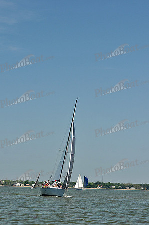 2013 Southern Bay Race Week A 293