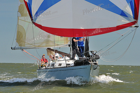 2014 Southern Bay Race Week D 1155