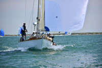 2019 Figawi_1190