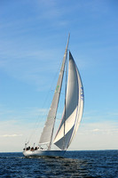 2014 Vineyard Race A 1974