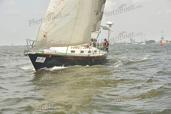 2023 ALIR 0489