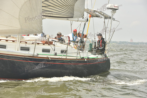 2023 ALIR 0491