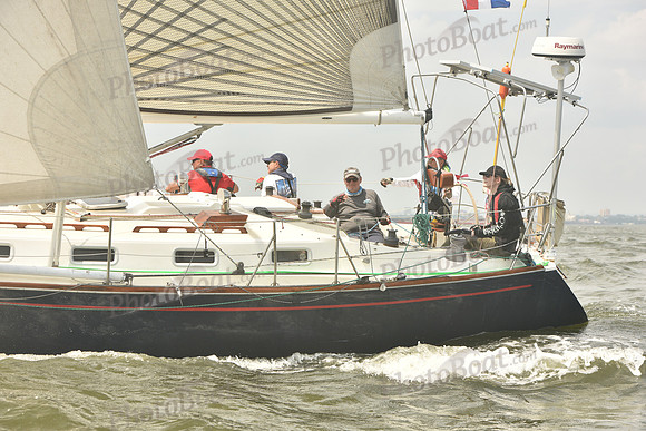 2023 ALIR 0493
