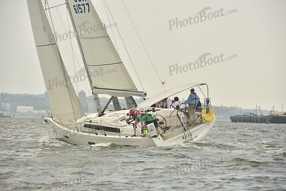 2023 ALIR 0981