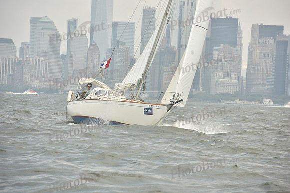 2023 ALIR 0360