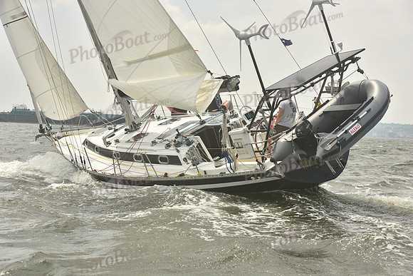 2023 ALIR 0401