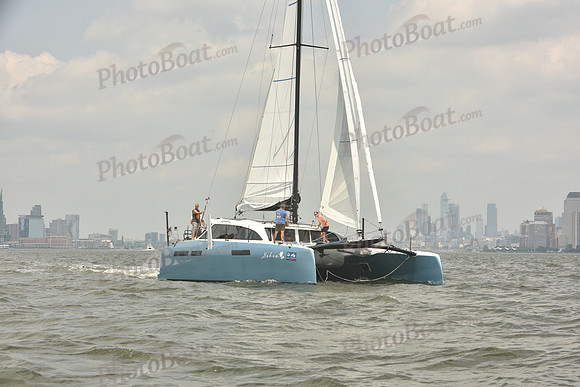 2023 ALIR 1181