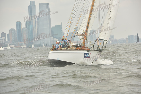 2023 ALIR 0013