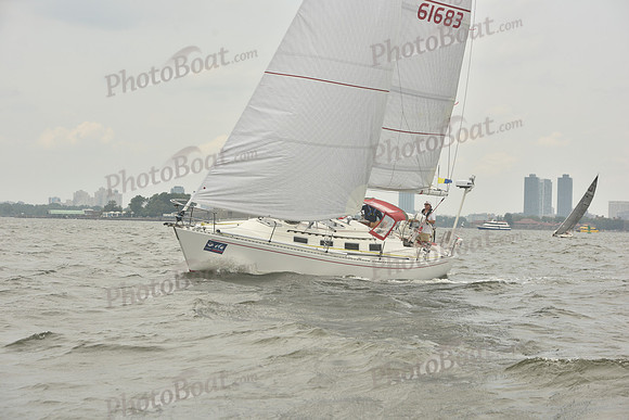 2023 ALIR 0682