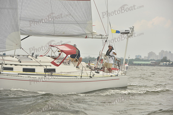 2023 ALIR 0684