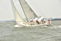 2023 ALIR 0236