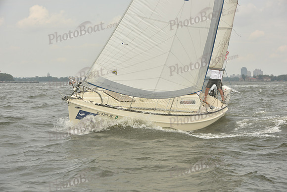 2023 ALIR 0054