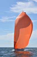 2020 Vineyard Race A_1843