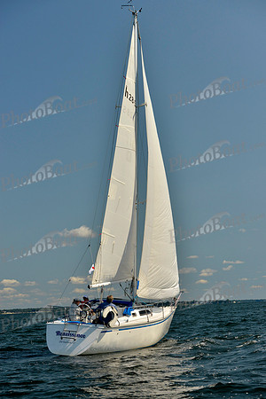 2017 Stamford Denmark Race_0133