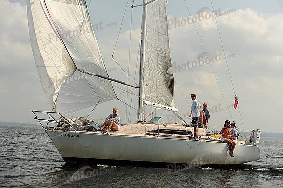 2013 Vineyard Race A 1956