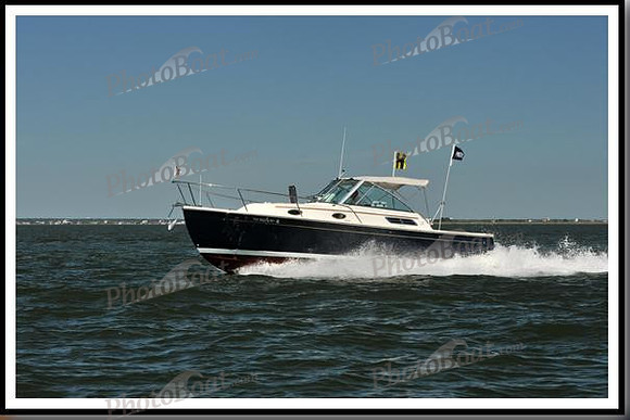 proof_2010_EScows_E 009