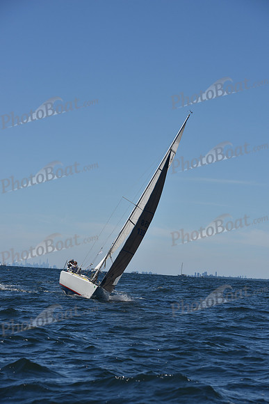 2022 Vineyard Race A_0212